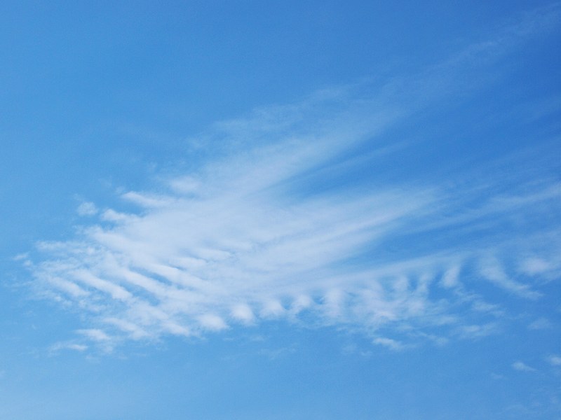 b0135573_20285682.jpg
