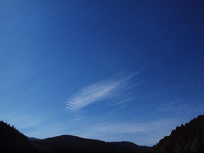 b0135573_2028899.jpg