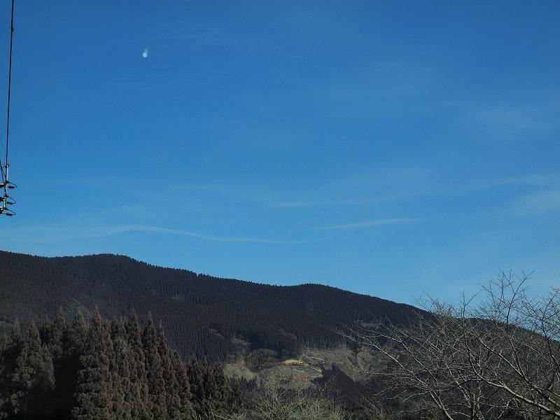 b0135573_20291159.jpg
