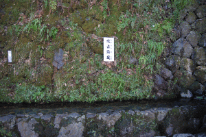 寒~い京都に…パワ~スポットめぐり~_f0152875_21533231.gif