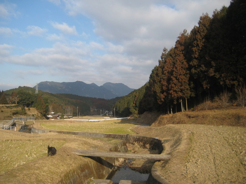 天日干しとタタラで作り込み。_d0195183_2321104.jpg