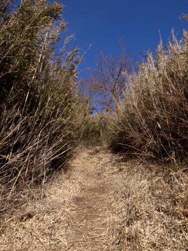 e0156083_10232632.jpg