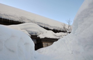 b0194185_23215431.jpg