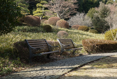 冬の公園のベンチ、3題。　反射する川面、2題。_c0160488_1495075.jpg