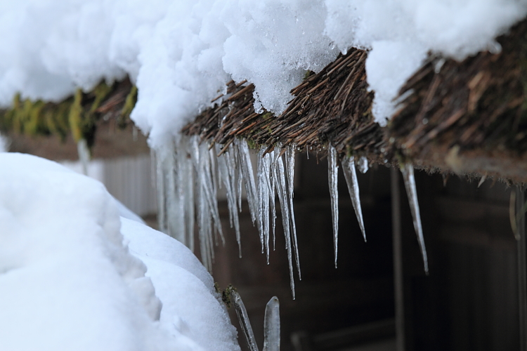 かやぶきの里 雪灯廊 ~前編~_e0051888_2351265.jpg