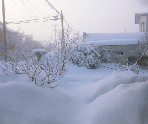 吹雪の日と、静かな雪の日、除雪機など_a0136293_16145341.jpg