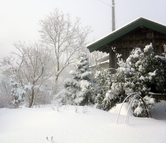 吹雪の日と、静かな雪の日、除雪機など_a0136293_16233131.jpg