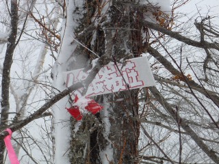 テレマークツアー in 春香山_d0198793_17543794.jpg