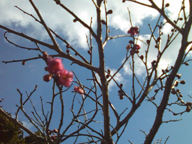 e0068696_17541342.jpg