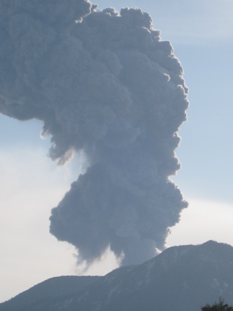 b0172502_07764.jpg