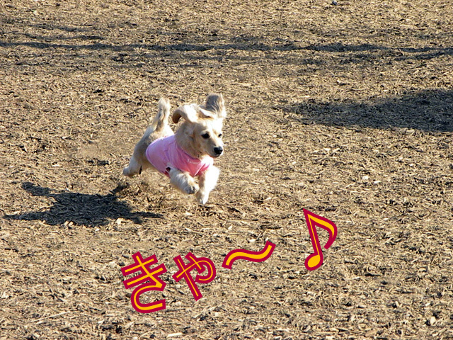 f0224506_18201960.jpg