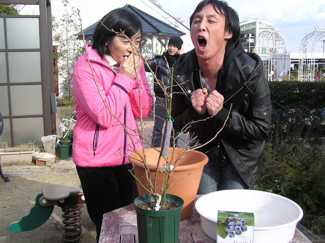 撮影しました サンテレビ 手づくり花づくり 野里元哉のガーデニング 以外もある 日記