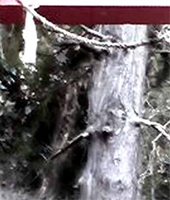 e0103408_19493950.jpg