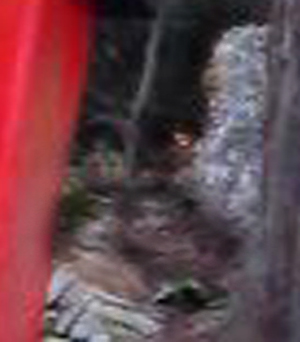 e0103408_204487.jpg