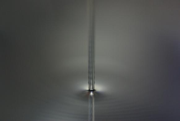 f0155808_8462073.jpg