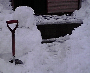 雪が降らない一日_b0159210_23253028.jpg