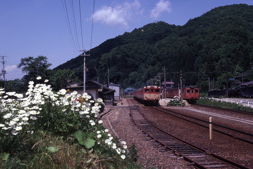 初夏のローカル線 - 1982年・北上線 -_b0190710_223558100.jpg