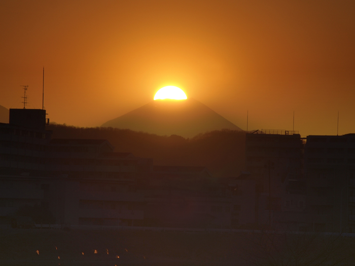 d0192516_8392645.jpg