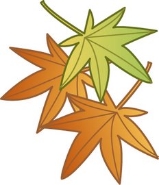 「薄墨桜!紅葉!幸福!宇野千代さん!」_f0205317_1295375.jpg