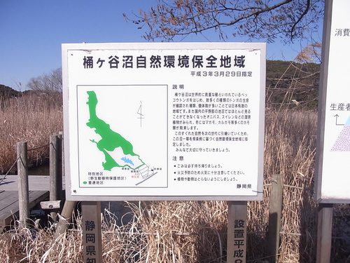 Cold_d0179518_2153538.jpg