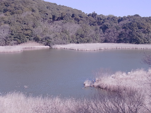 Cold_d0179518_2161098.jpg