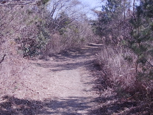 Cold_d0179518_2165028.jpg