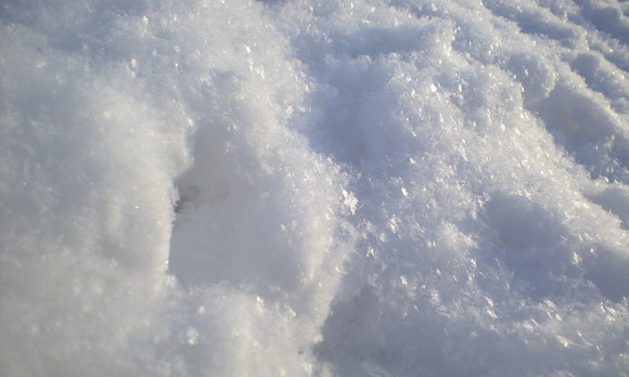 e0227023_20173624.jpg