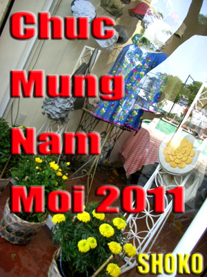 CHUC MUNG NAM MOI2011_b0178524_13442584.jpg