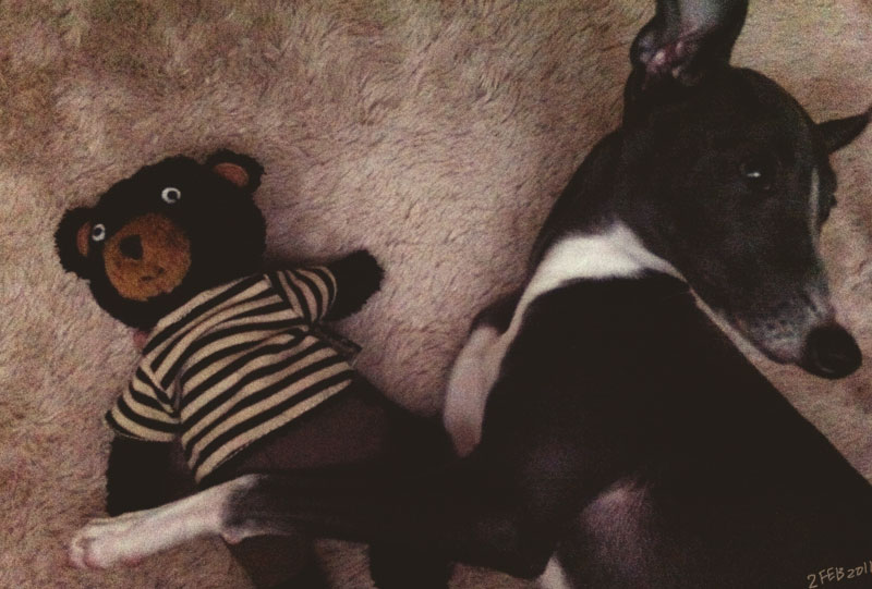 e0199431_20122742.jpg