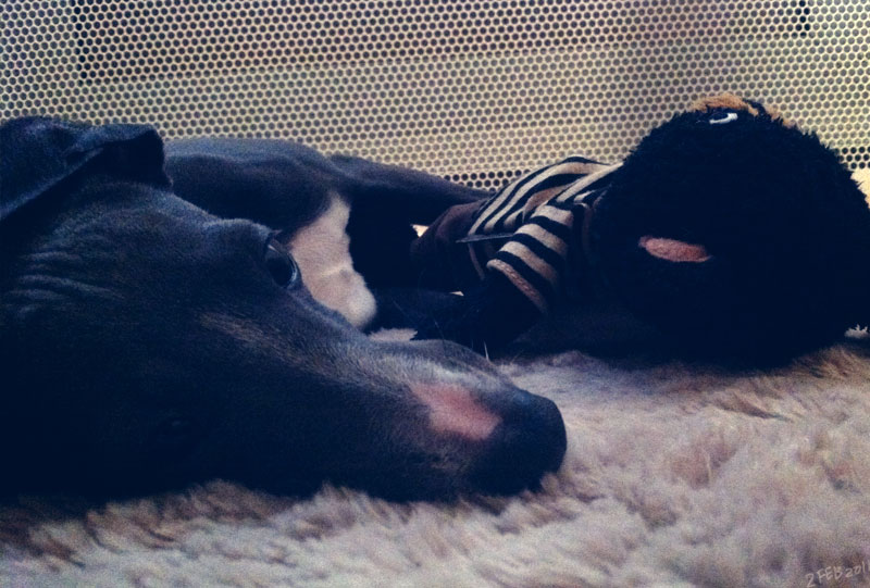 e0199431_20122936.jpg