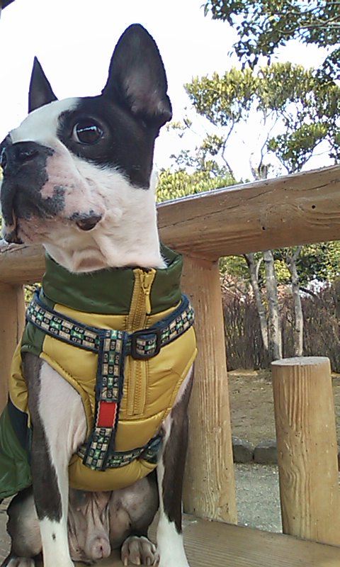 c0035443_10404511.jpg