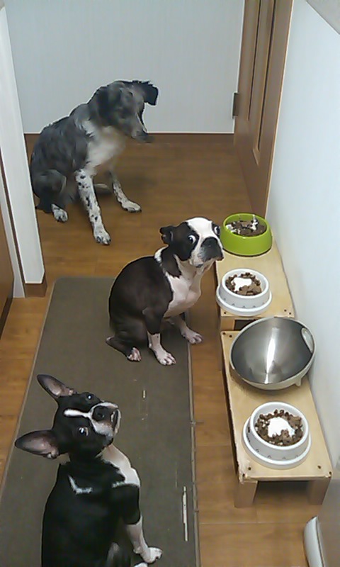 c0035443_10404558.jpg