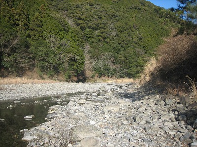a0054948_8484239.jpg