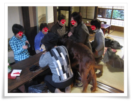 真冬の集い_c0049950_2210147.jpg