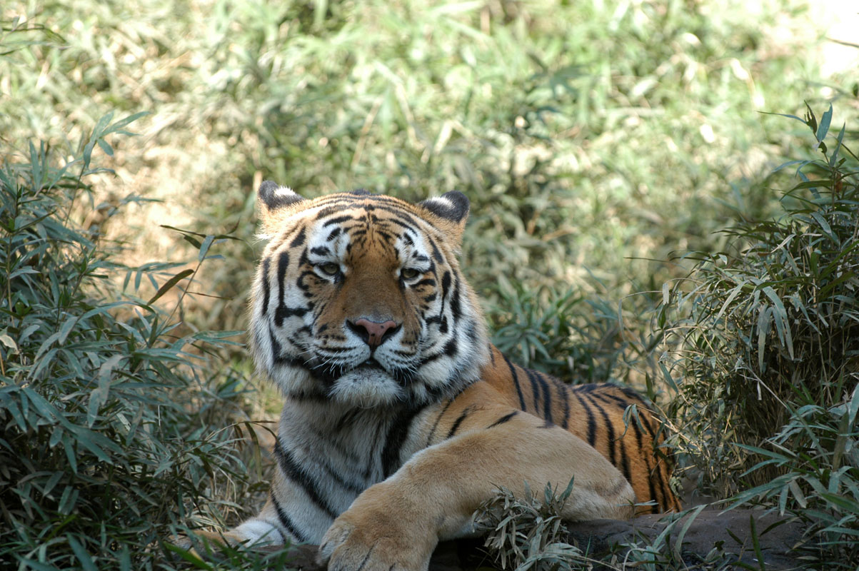 b0023856_6323729.jpg