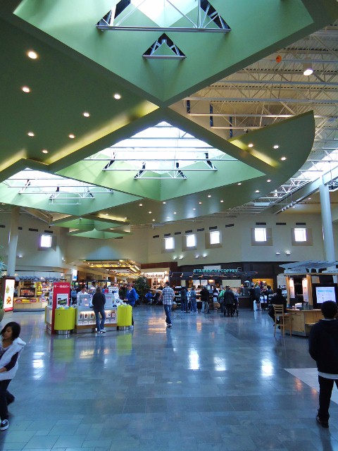 d0172957_255342.jpg