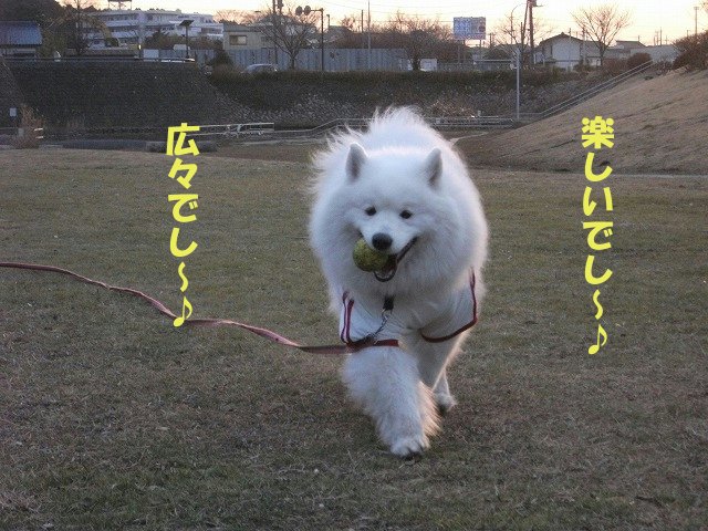 ★気分は勝手に『吉運動会』でし編★_e0176159_2291958.jpg