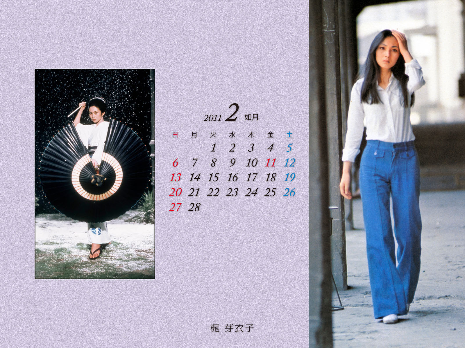 夜ごとの美女暦 日本編2月に梶芽衣子をチョイスしたけど 何か 夜ごとの美女