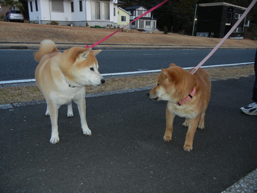 2月2日(水)遼くんがいいお顔に~!_f0060461_168201.jpg