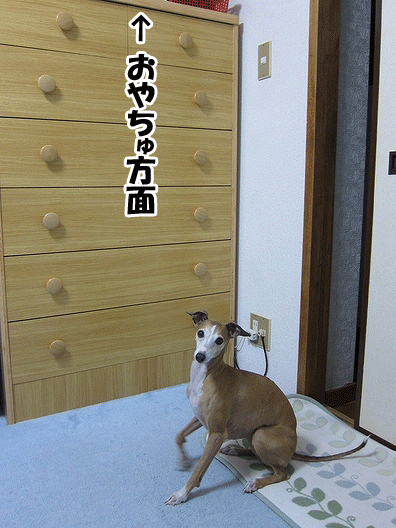 f0158862_20354677.gif