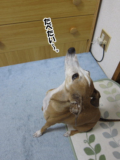 f0158862_2036044.gif