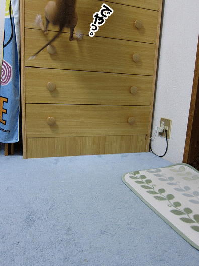 f0158862_20363367.gif