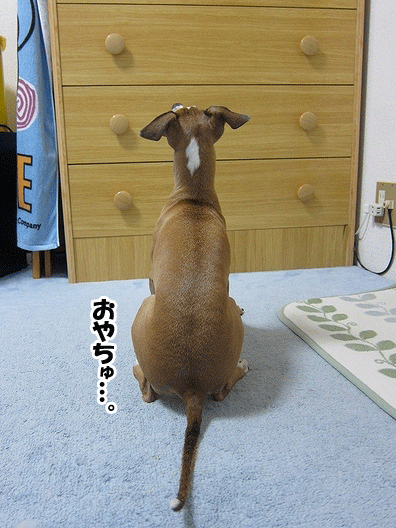 f0158862_203971.gif