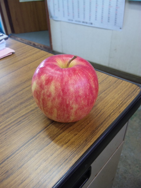本日の昼食_a0077071_1713463.jpg
