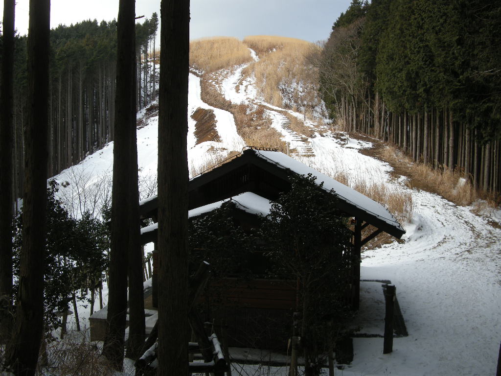 大阪・岩湧山と岩湧寺_b0185573_9252688.jpg