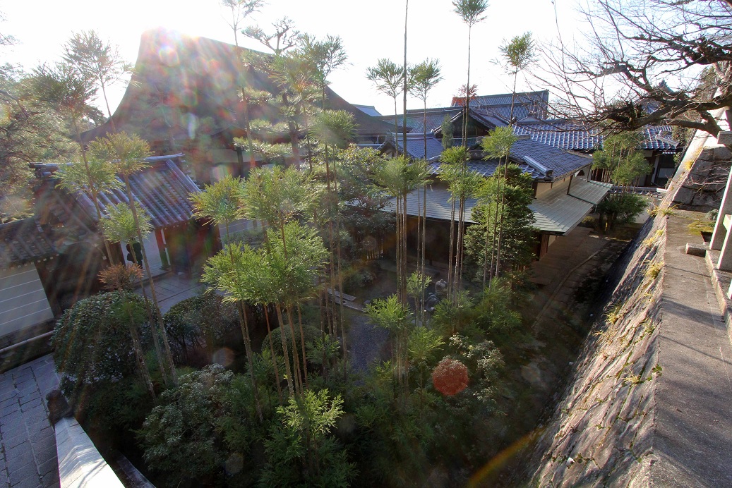 知恩院・方丈庭園を歩く_a0107574_1171214.jpg
