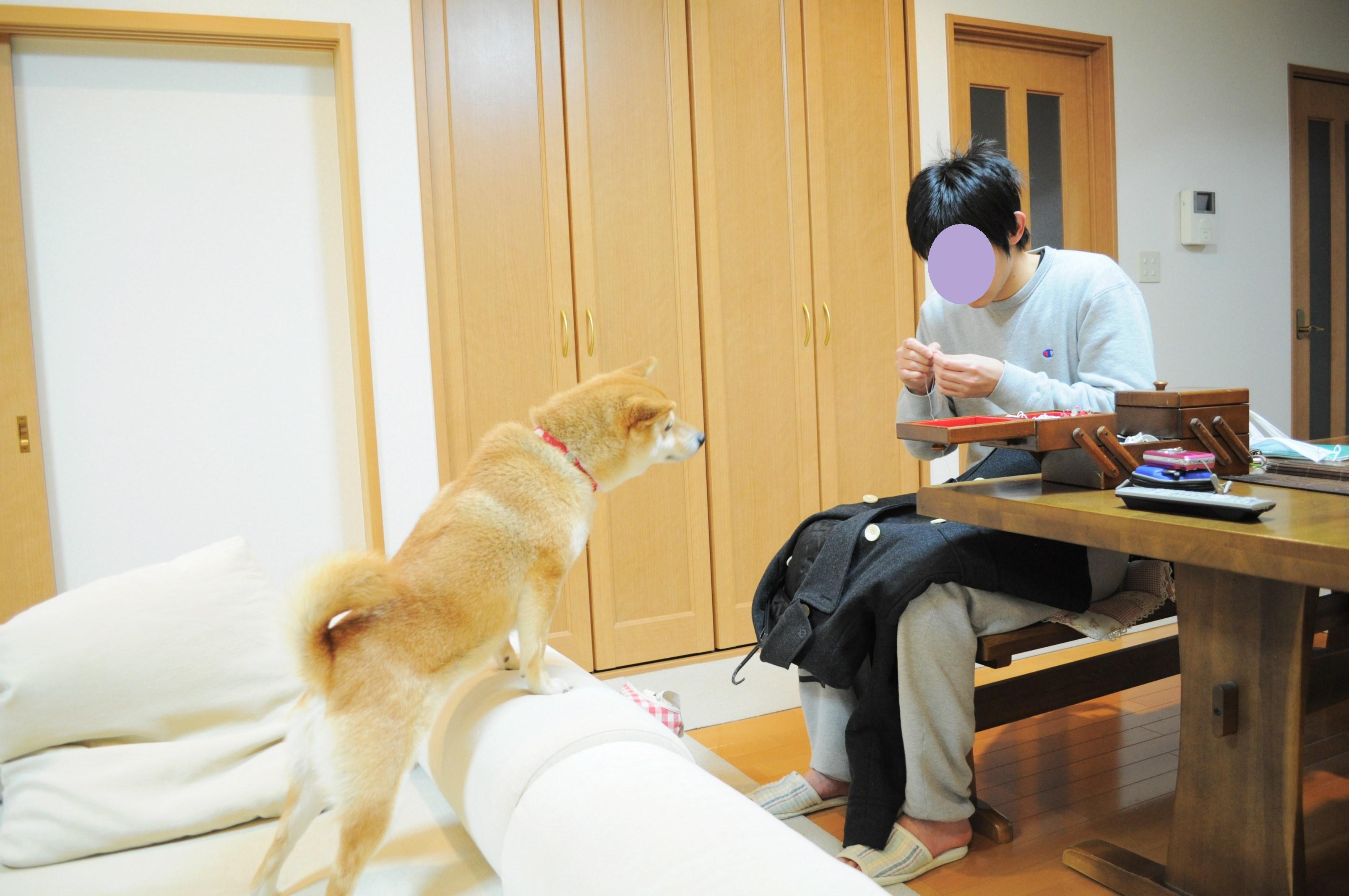 自分のことは自分でします!_a0126590_23115216.jpg