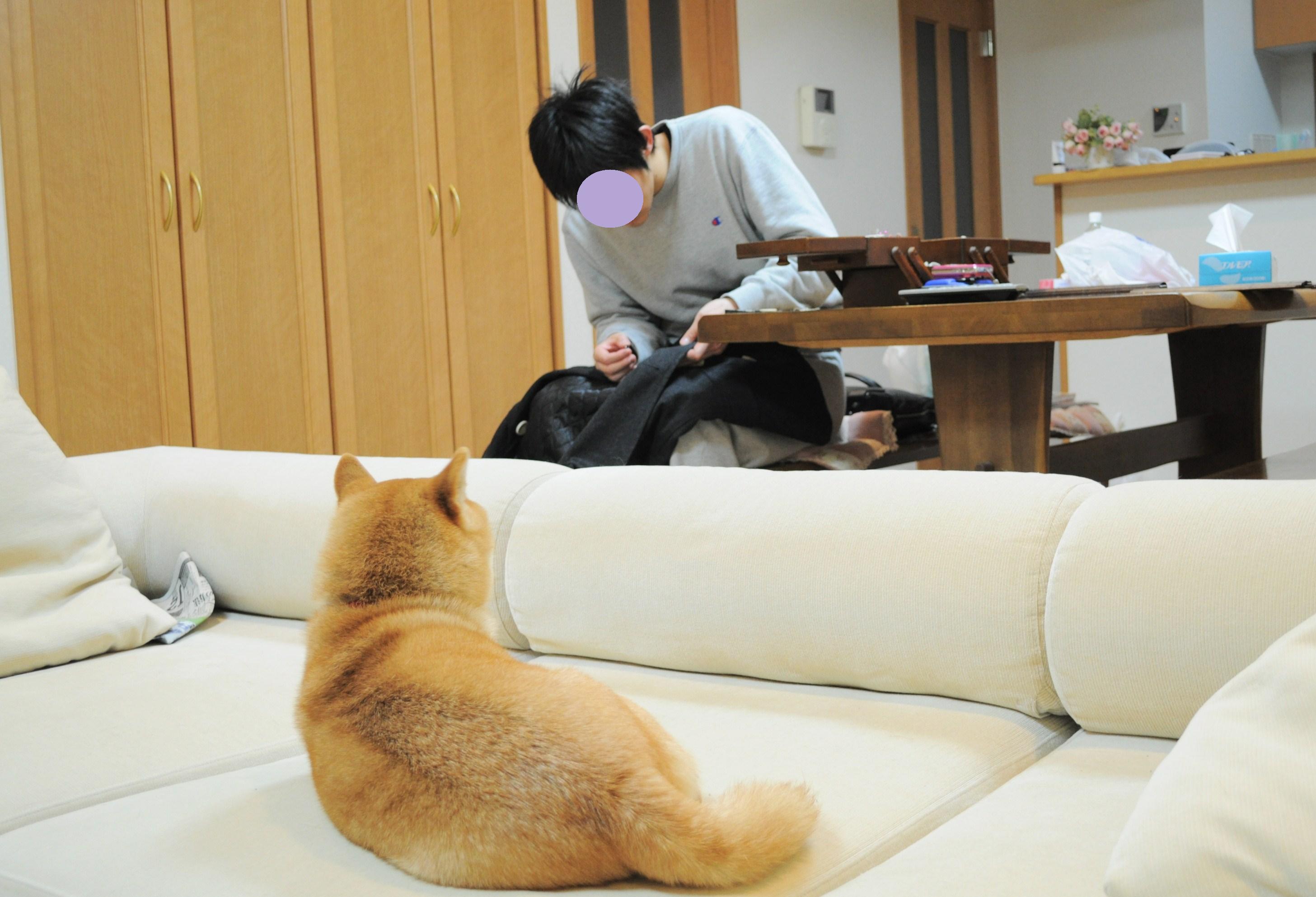 自分のことは自分でします!_a0126590_2315414.jpg