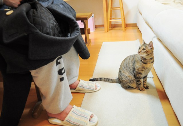 自分のことは自分でします!_a0126590_23171754.jpg