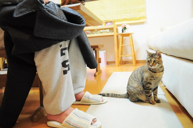 自分のことは自分でします!_a0126590_23182757.jpg